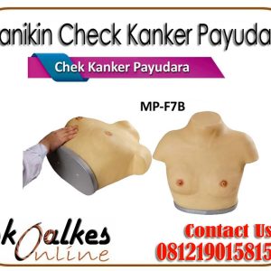 Manikin Check Kanker Payudara