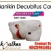 Manikin Decubitus Care